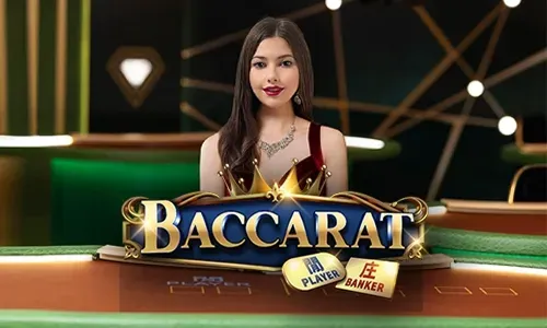 bmw55 Live Casino Icon